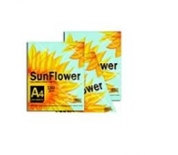 Bìa thái Sunflower A4 180gsm